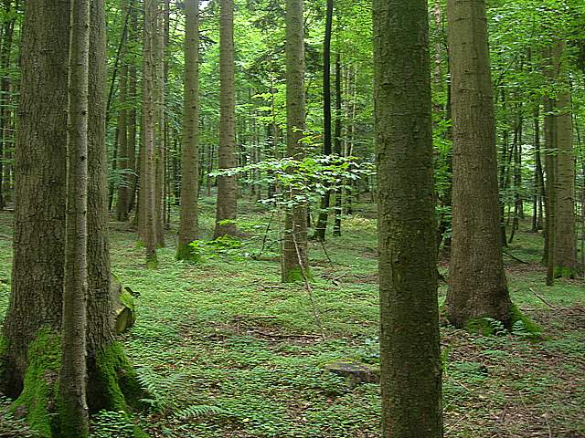 Escursione  madre  2008